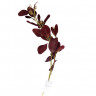 9F28558-BR Веточка эвкалипта с цветами листья бордовые 72см (24)